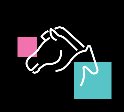 kachel equinova hoeveler zucht